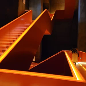 20211017_152837 20211017_152837
